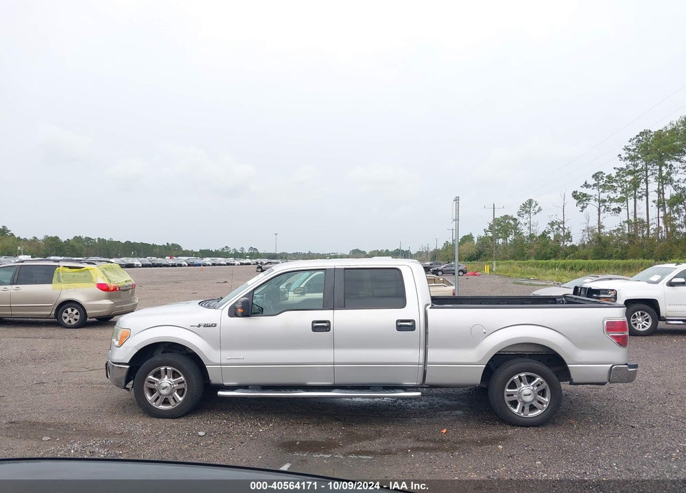 2014 FORD F-150 XLT VIN: 1FTFW1CT8EFB56716