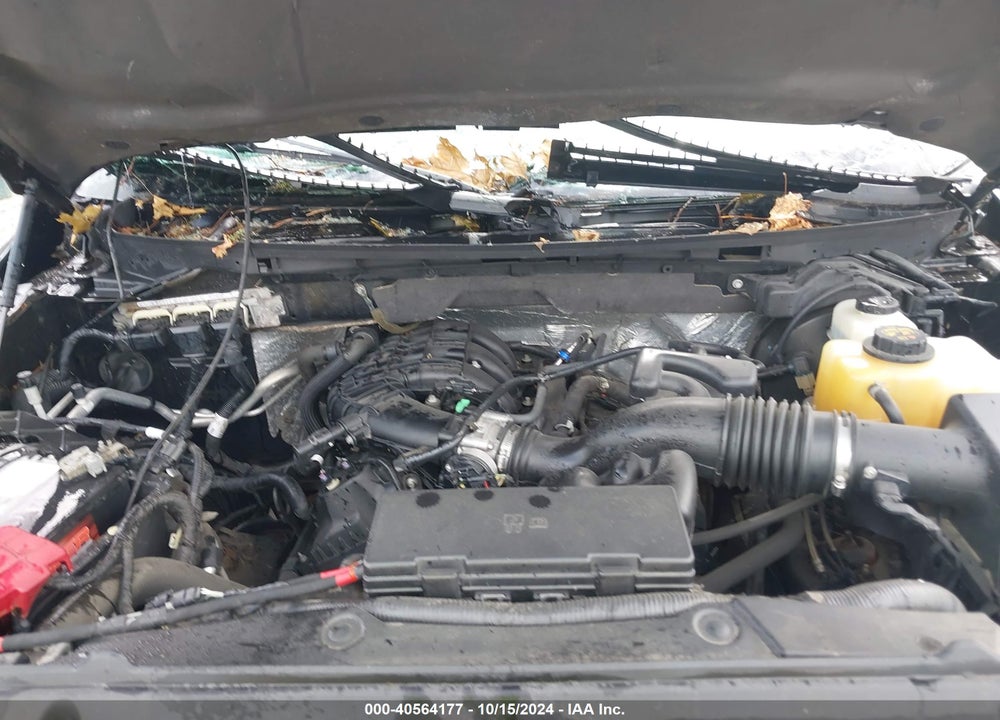 2013 FORD F-150 XLT VIN: 1FTEX1EM9DKG53472