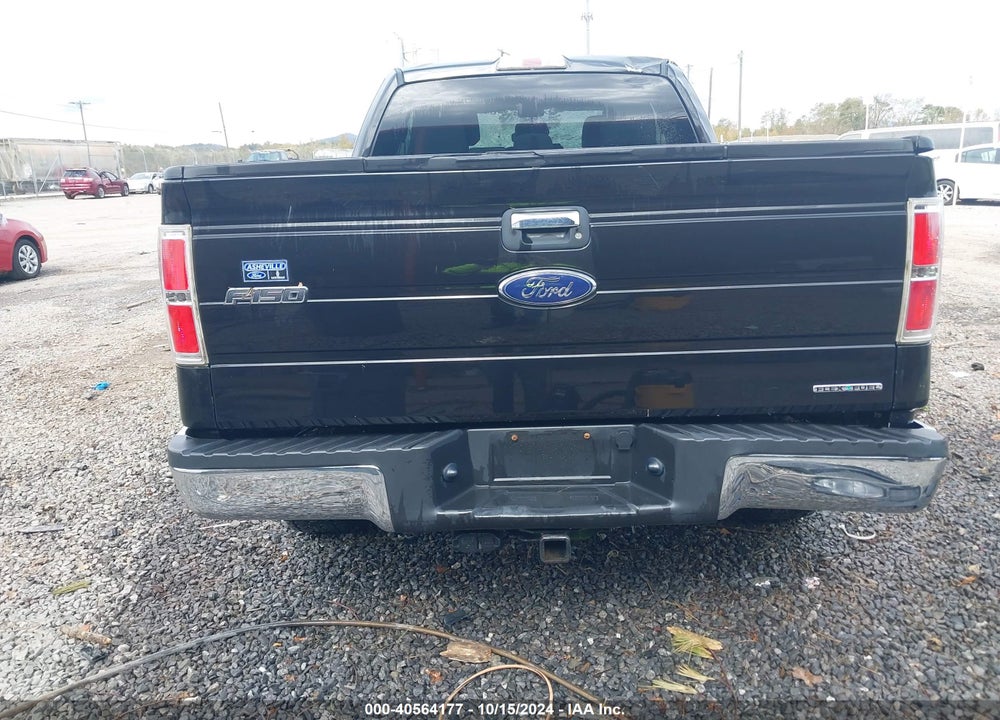 2013 FORD F-150 XLT VIN: 1FTEX1EM9DKG53472