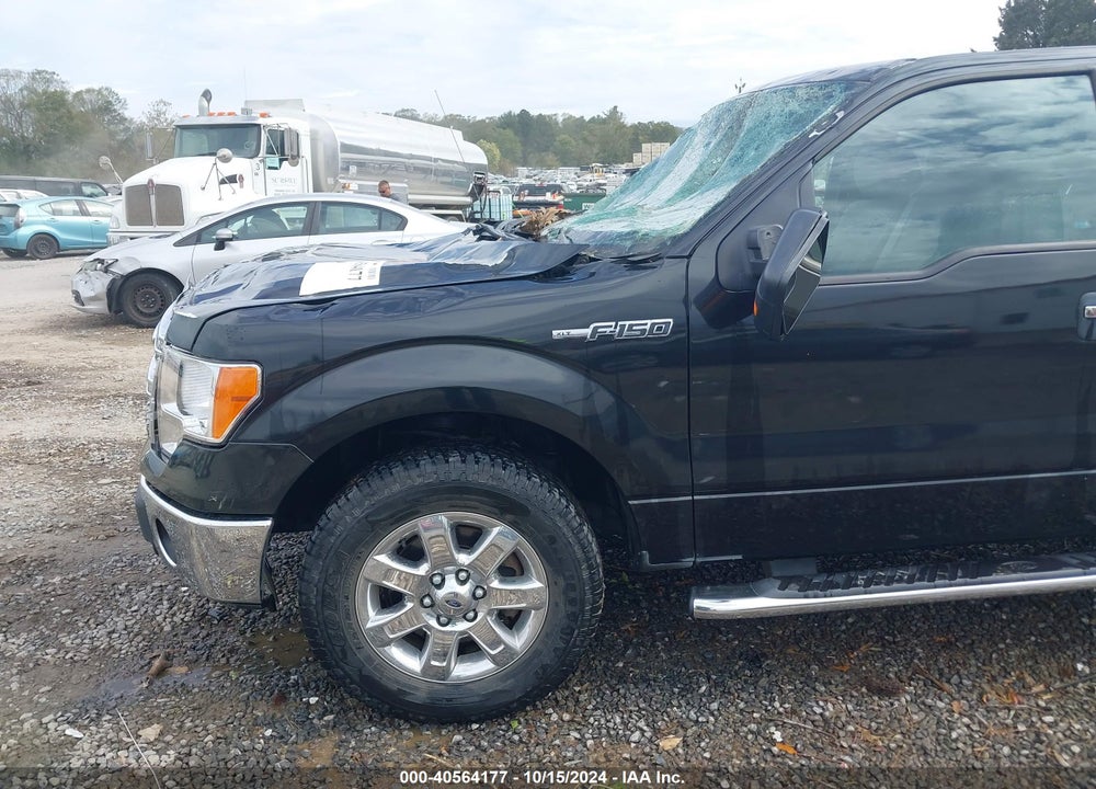 2013 FORD F-150 XLT VIN: 1FTEX1EM9DKG53472