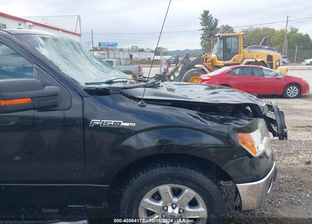 2013 FORD F-150 XLT VIN: 1FTEX1EM9DKG53472