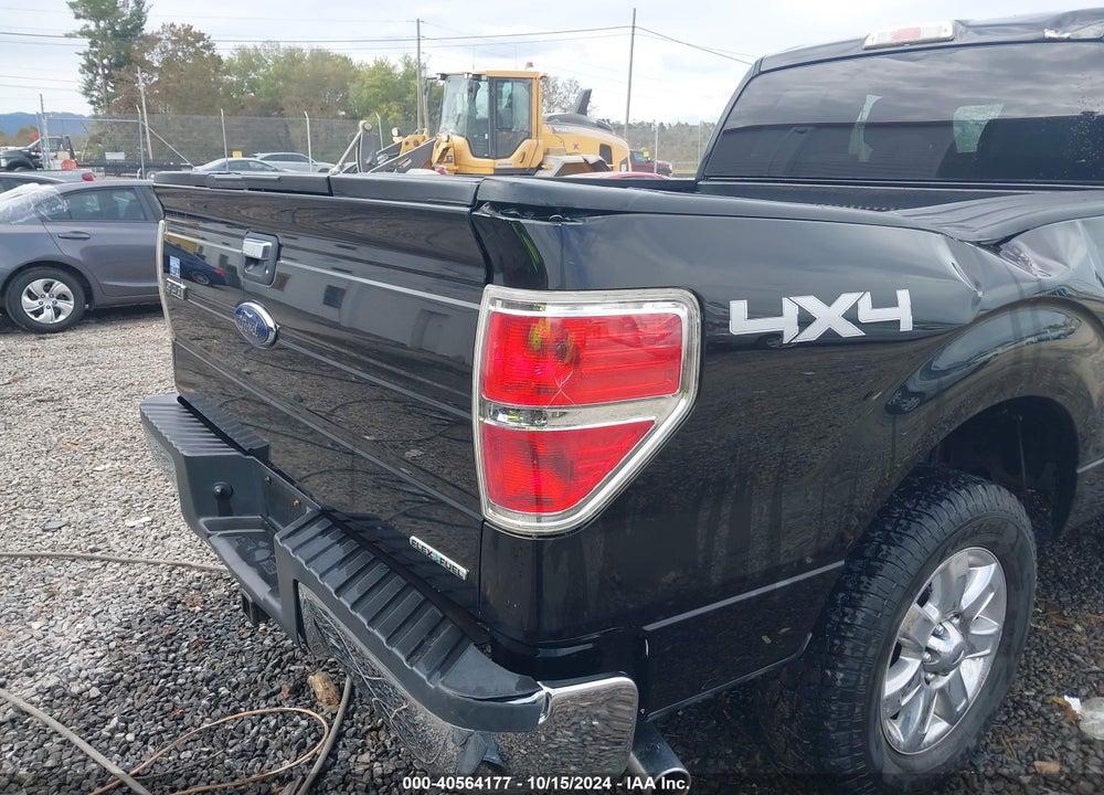 2013 FORD F-150 XLT VIN: 1FTEX1EM9DKG53472