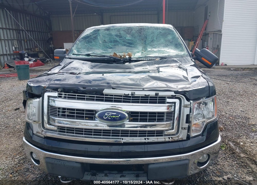 2013 FORD F-150 XLT VIN: 1FTEX1EM9DKG53472