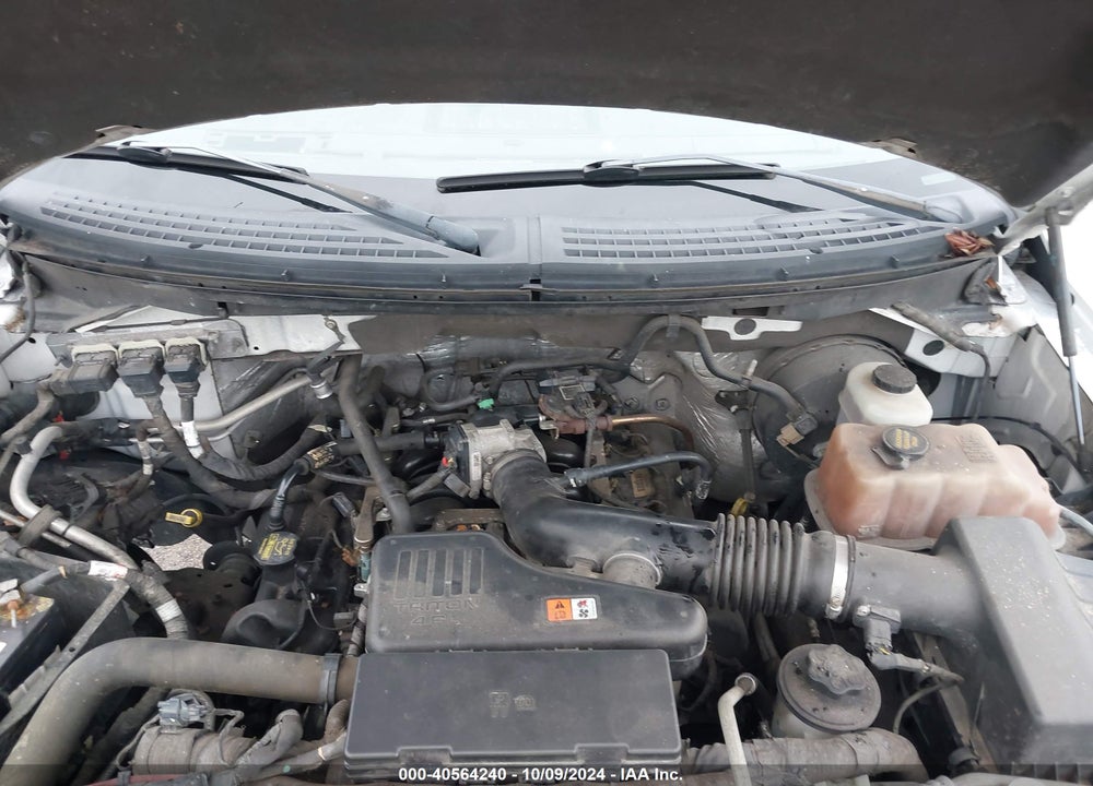 2010 FORD F-150 STX/XL/XLT VIN: 1FTMF1CW2AKB48744