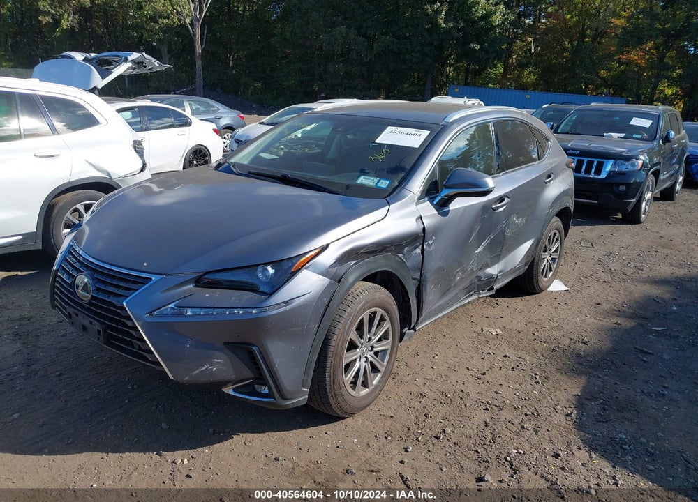 2019 LEXUS NX 300 VIN: JTJBARBZ4K2207078