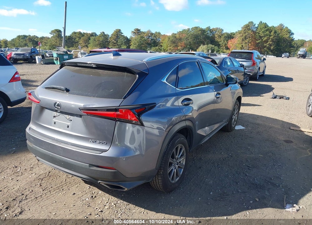 2019 LEXUS NX 300 VIN: JTJBARBZ4K2207078