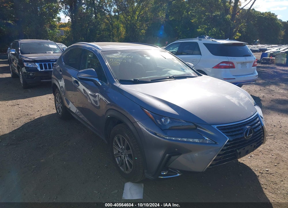 2019 LEXUS NX 300 VIN: JTJBARBZ4K2207078