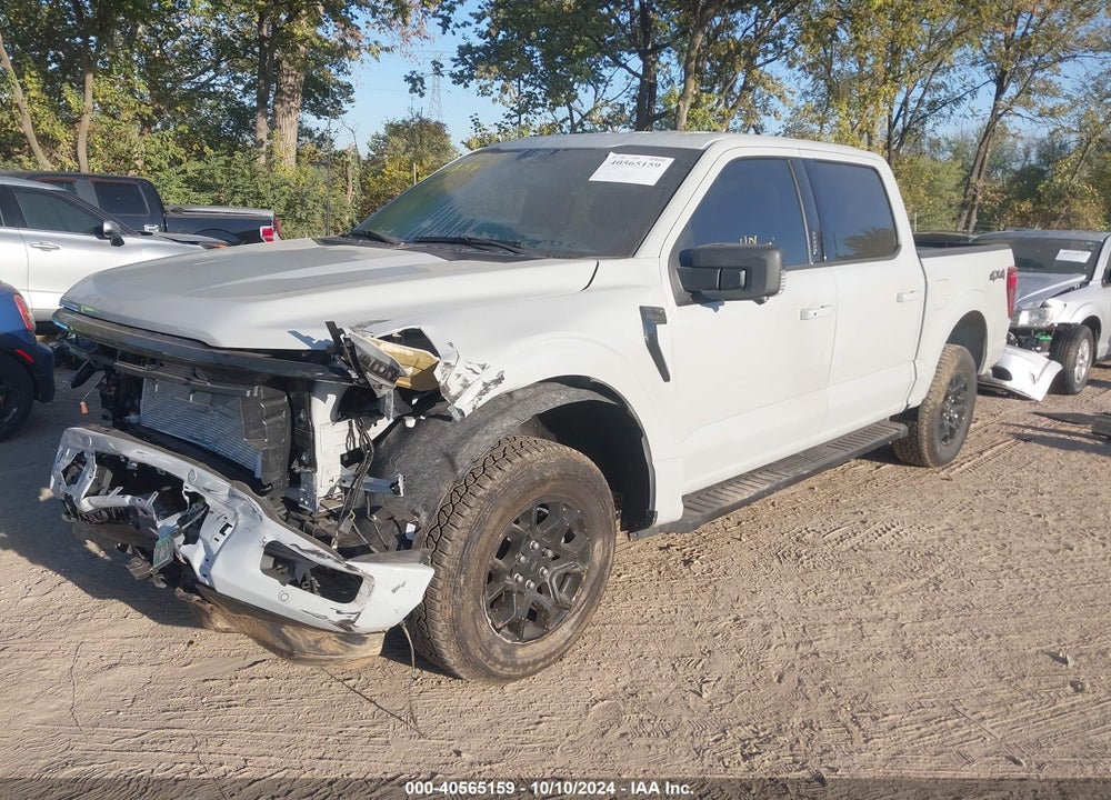 2024 FORD F-150 XLT VIN: 1FTFW3L54RKE40502