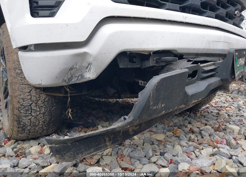 2024 CHEVROLET SILVERADO 1500 VIN: 1GCPDBEK5RZ181016