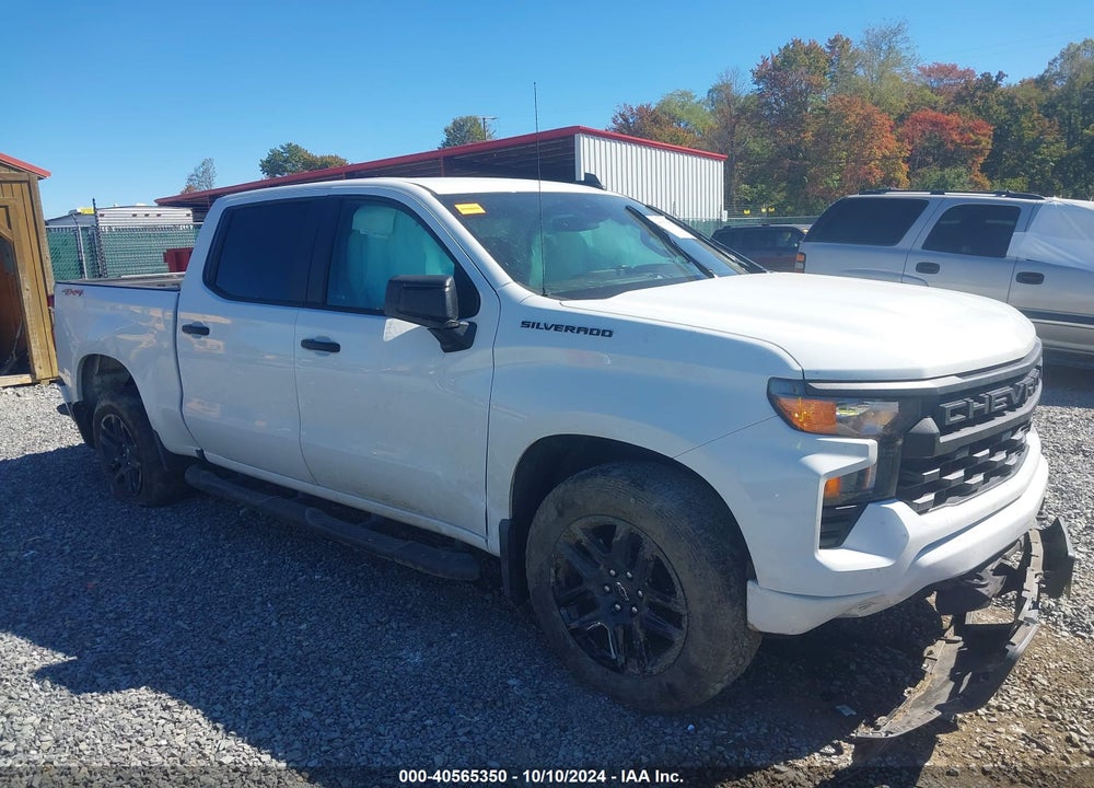 2024 CHEVROLET SILVERADO 1500 VIN: 1GCPDBEK5RZ181016