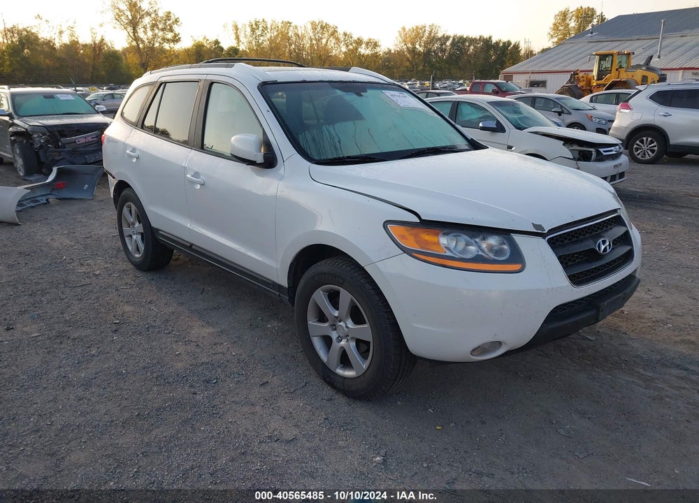 2009 HYUNDAI SANTA FE SE VIN: 5NMSH13E79H247771