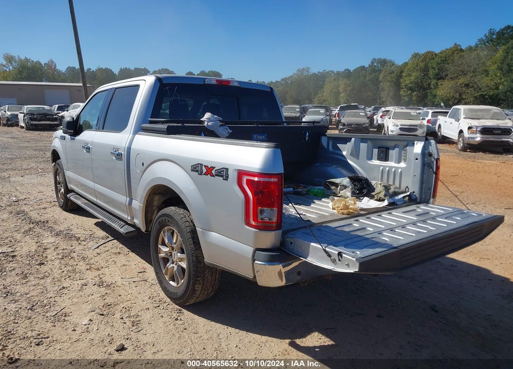 2015 FORD F-150 XLT VIN: 1FTEW1E83FFB19384
