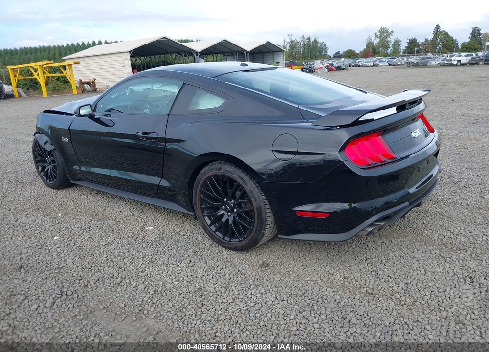 2019 FORD MUSTANG GT PREMIUM VIN: 1FA6P8CF9K5186220