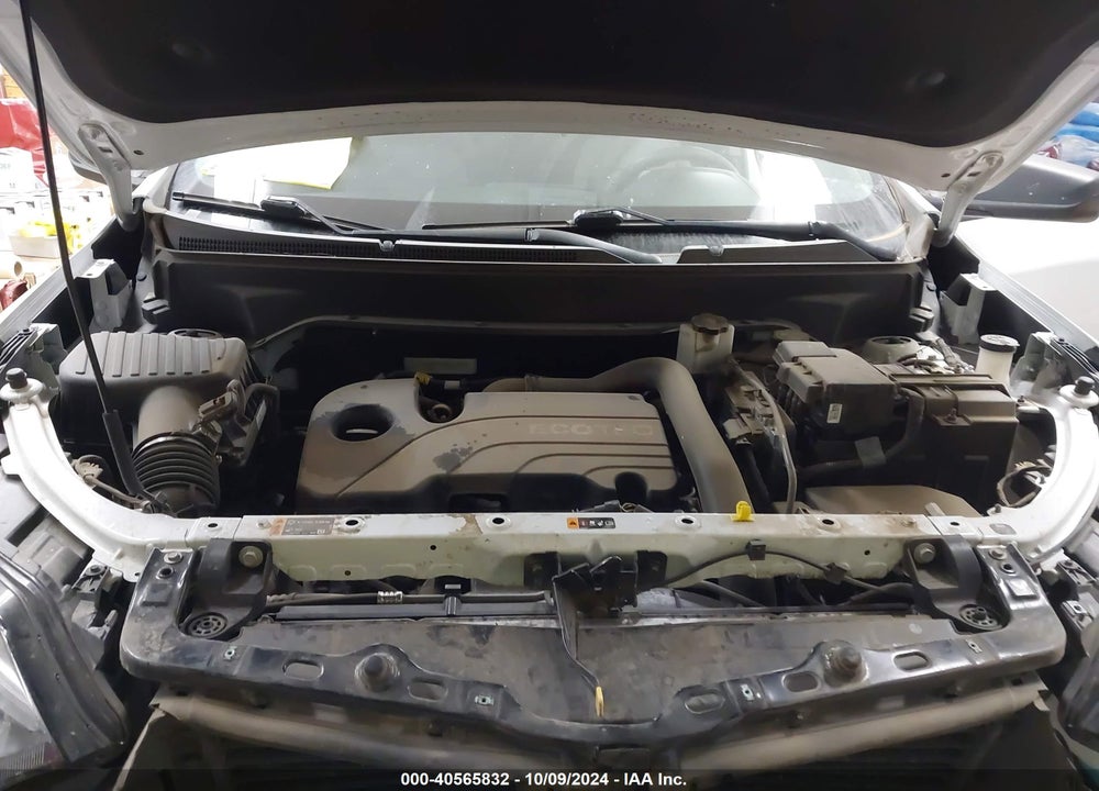 2019 CHEVROLET EQUINOX LS VIN: 2GNAXHEV8K6265074