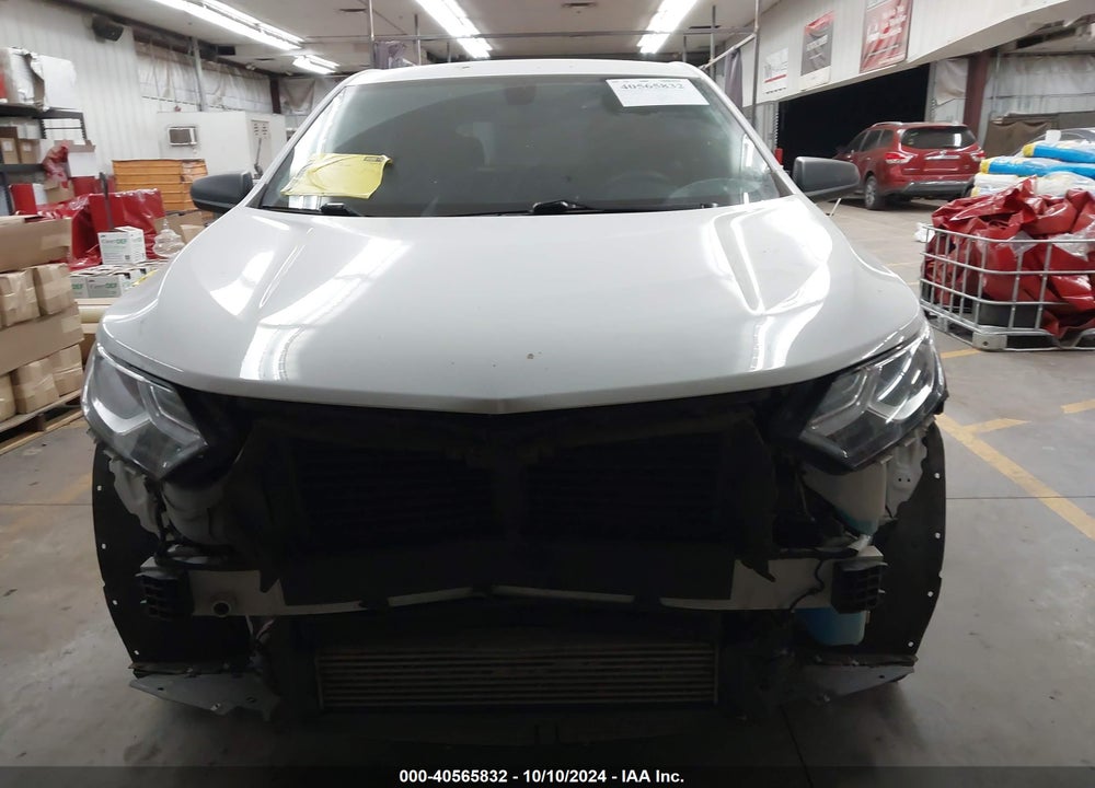 2019 CHEVROLET EQUINOX LS VIN: 2GNAXHEV8K6265074