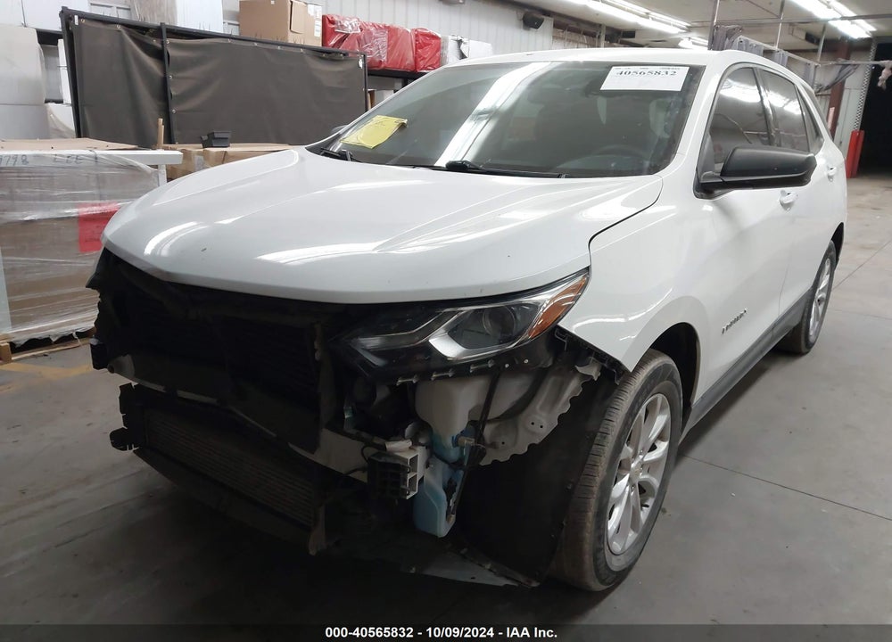 2019 CHEVROLET EQUINOX LS VIN: 2GNAXHEV8K6265074