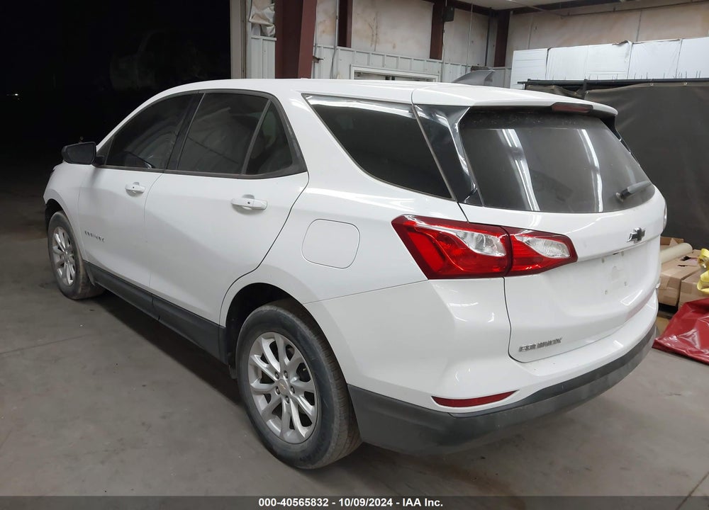 2019 CHEVROLET EQUINOX LS VIN: 2GNAXHEV8K6265074