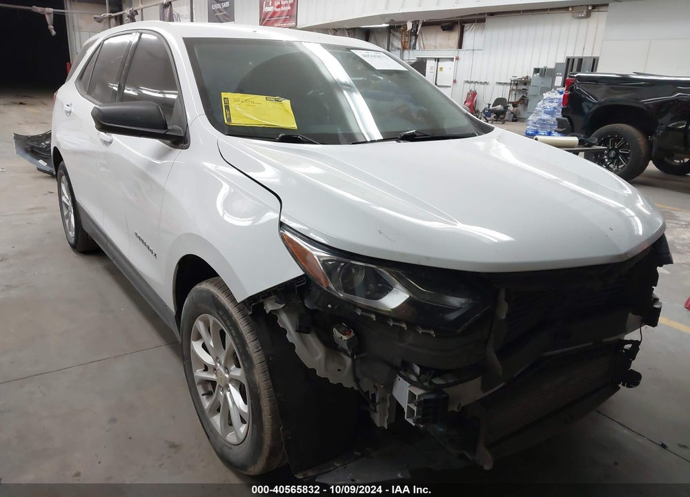 2019 CHEVROLET EQUINOX LS VIN: 2GNAXHEV8K6265074