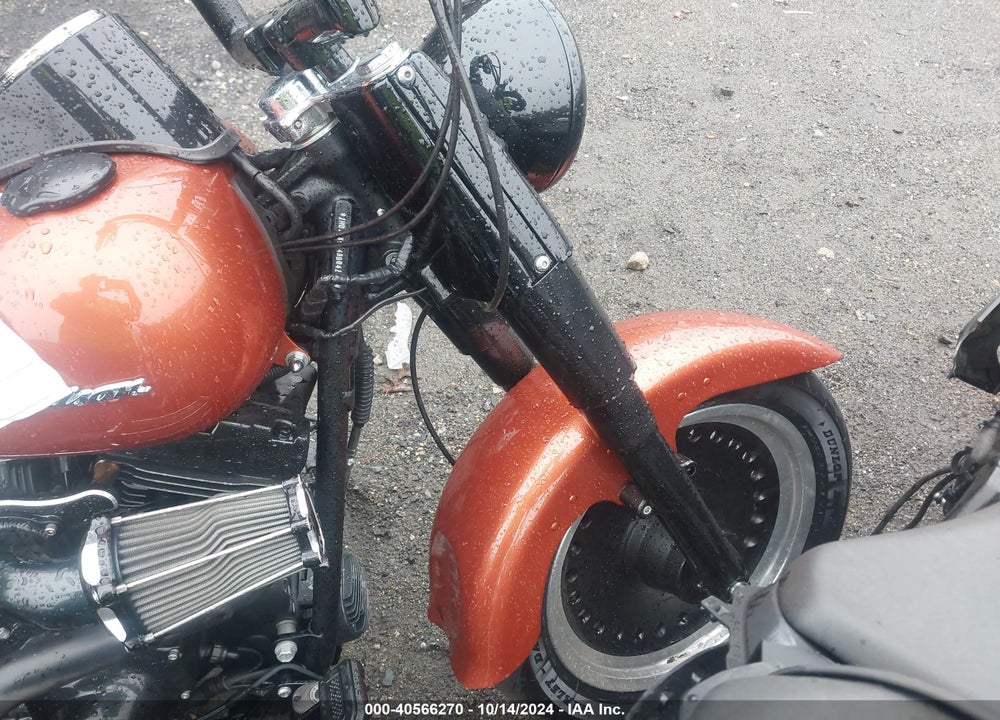 2010 HARLEY-DAVIDSON FLSTFB VIN: 1HD1JN514AB041428