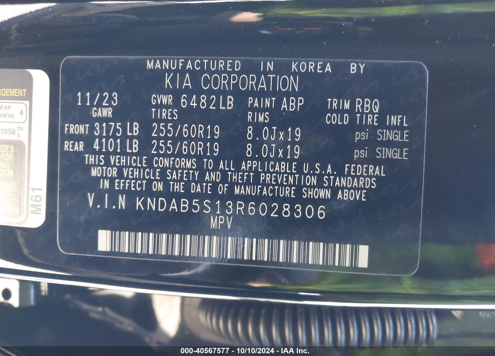 2024 KIA EV9 LIGHT LONG RANGE VIN: KNDAB5S13R6028306