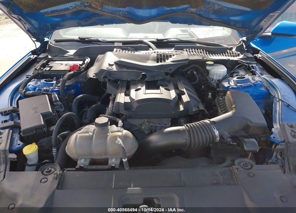 2020 FORD MUSTANG ECOBOOST VIN: 1FA6P8TH9L5102884