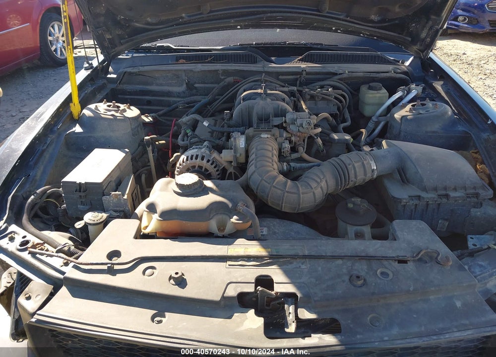 2007 FORD MUSTANG V6 DELUXE/V6 PREMIUM VIN: 1ZVFT80N775310684
