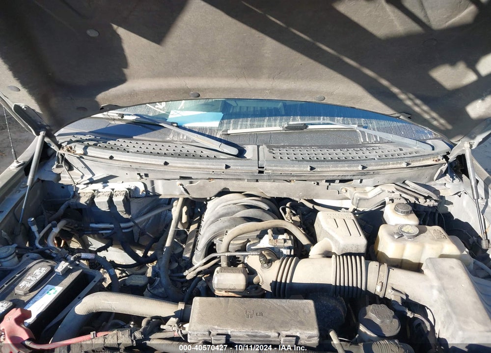 2010 FORD F-150 XL/XLT VIN: 1FTFW1E84AFD91794