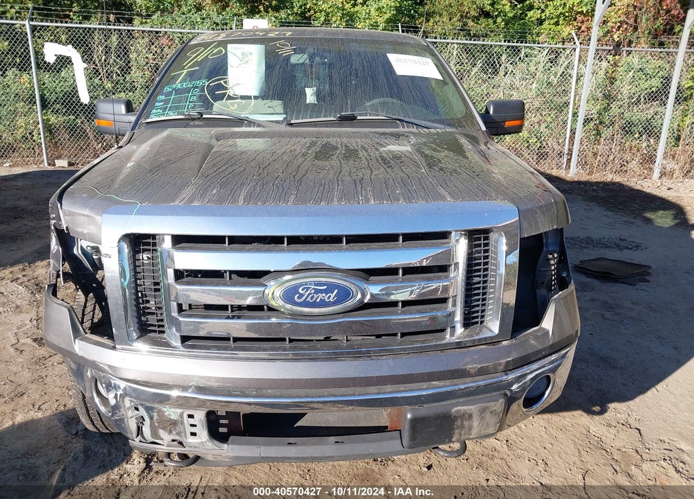 2010 FORD F-150 XL/XLT VIN: 1FTFW1E84AFD91794