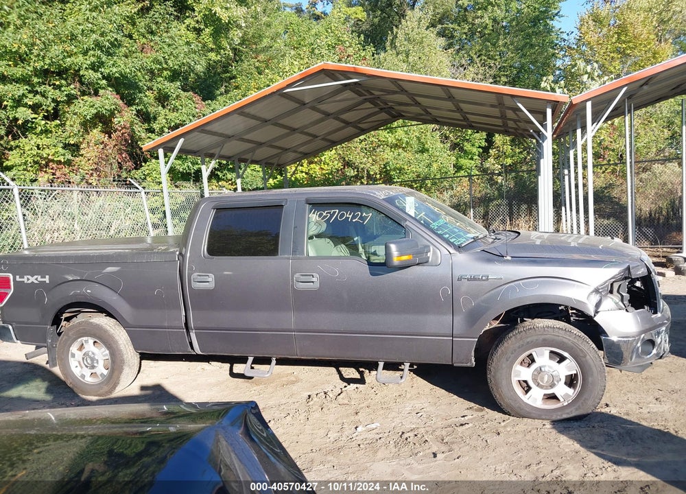 2010 FORD F-150 XL/XLT VIN: 1FTFW1E84AFD91794
