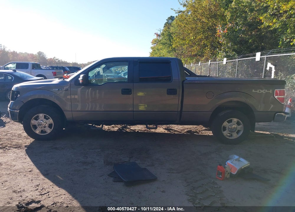 2010 FORD F-150 XL/XLT VIN: 1FTFW1E84AFD91794