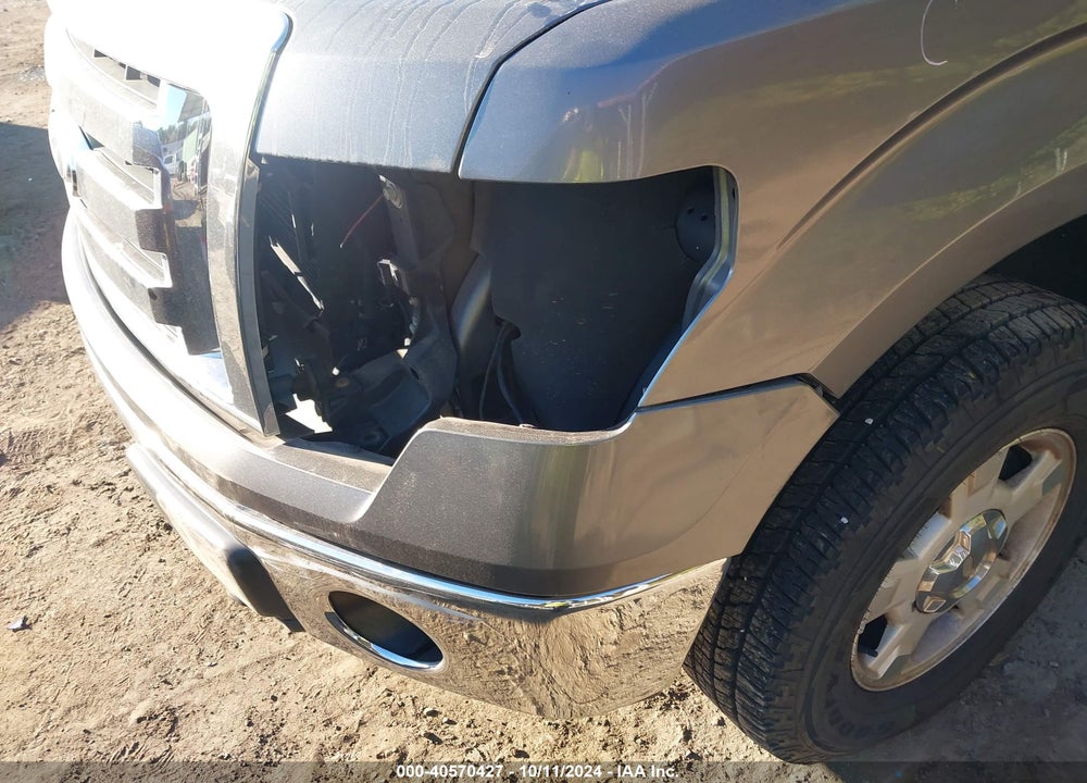 2010 FORD F-150 XL/XLT VIN: 1FTFW1E84AFD91794