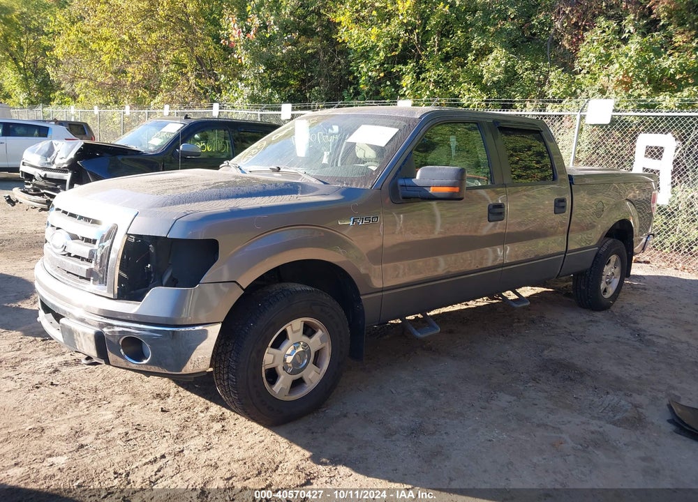 2010 FORD F-150 XL/XLT VIN: 1FTFW1E84AFD91794