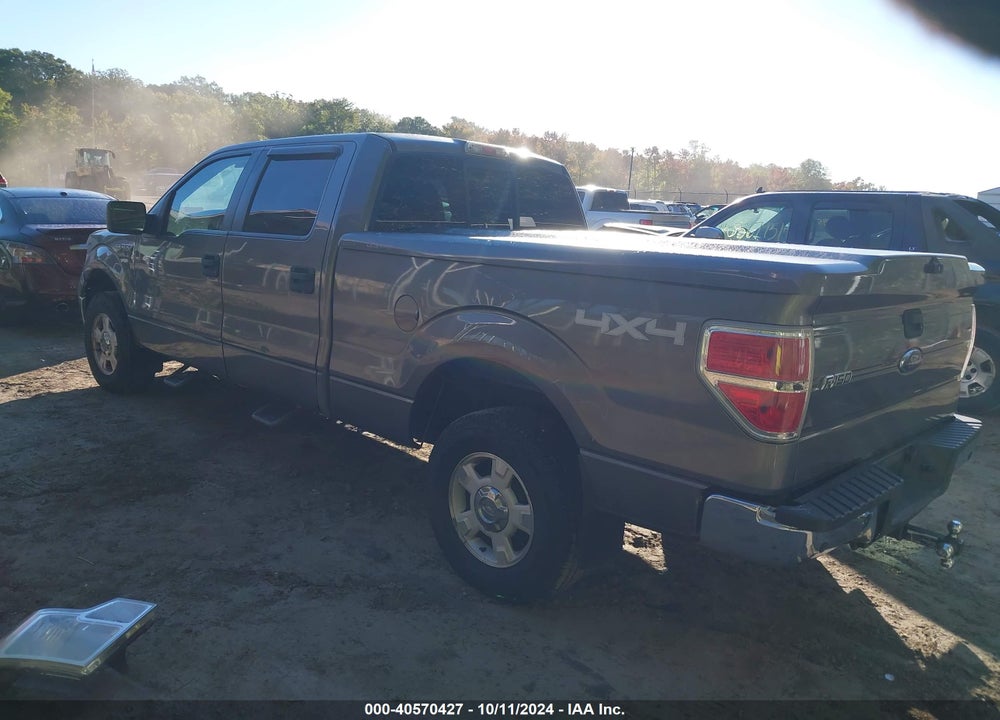 2010 FORD F-150 XL/XLT VIN: 1FTFW1E84AFD91794