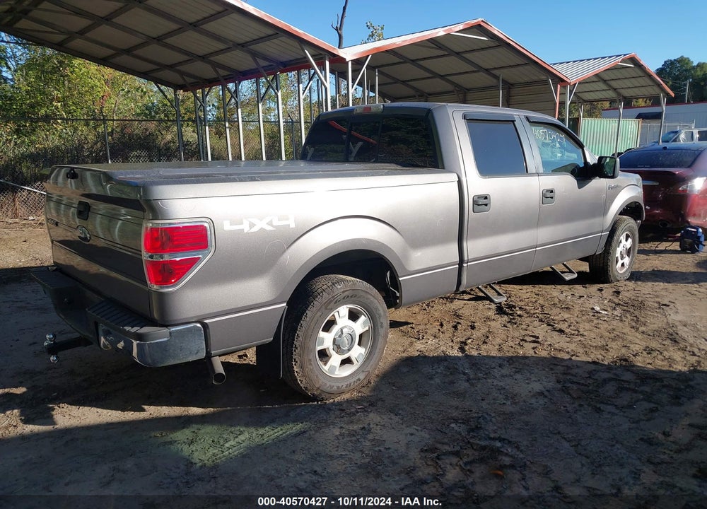 2010 FORD F-150 XL/XLT VIN: 1FTFW1E84AFD91794
