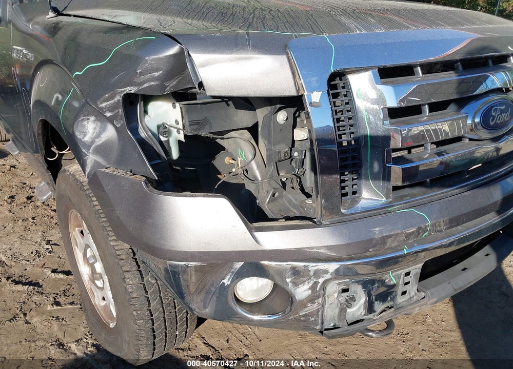 2010 FORD F-150 XL/XLT VIN: 1FTFW1E84AFD91794
