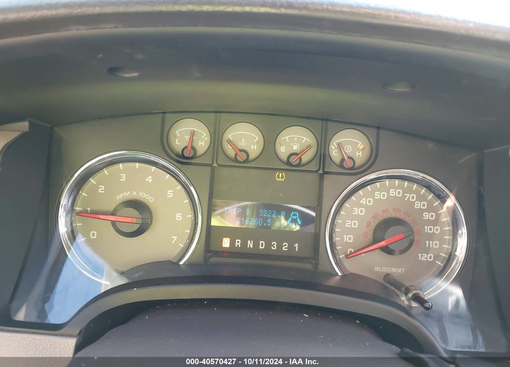2010 FORD F-150 XL/XLT VIN: 1FTFW1E84AFD91794