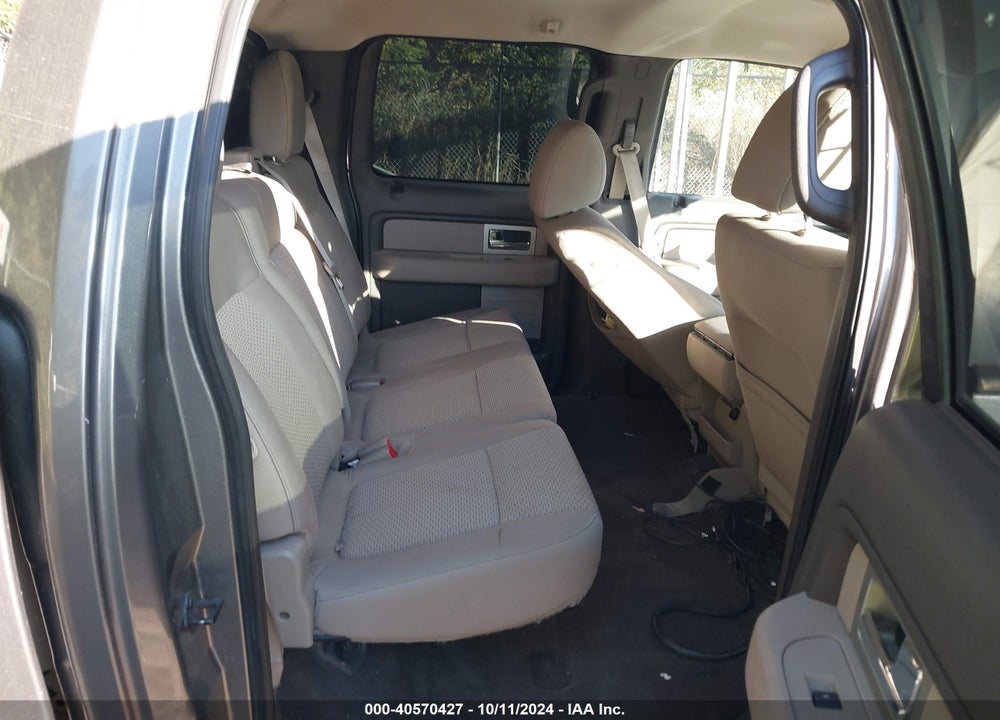 2010 FORD F-150 XL/XLT VIN: 1FTFW1E84AFD91794