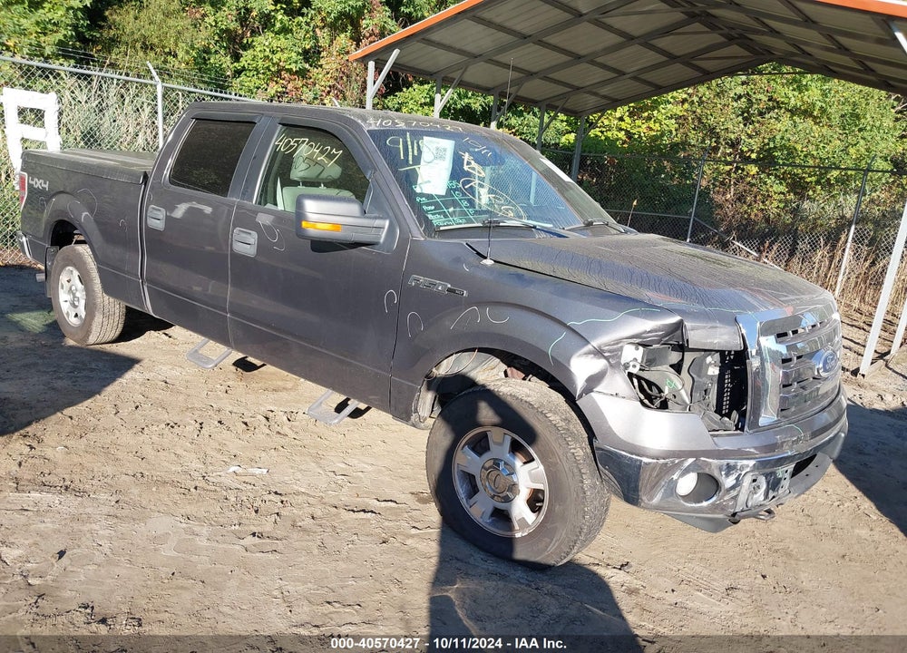2010 FORD F-150 XL/XLT VIN: 1FTFW1E84AFD91794