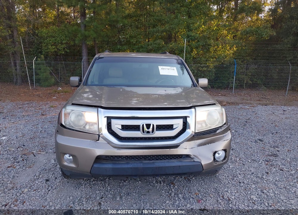 2009 HONDA PILOT EX-L VIN: 5FNYF38669B027178