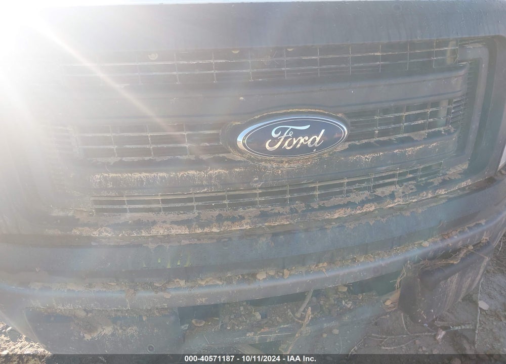 2013 FORD F-150 XL VIN: 1FTMF1CMXDFC31642