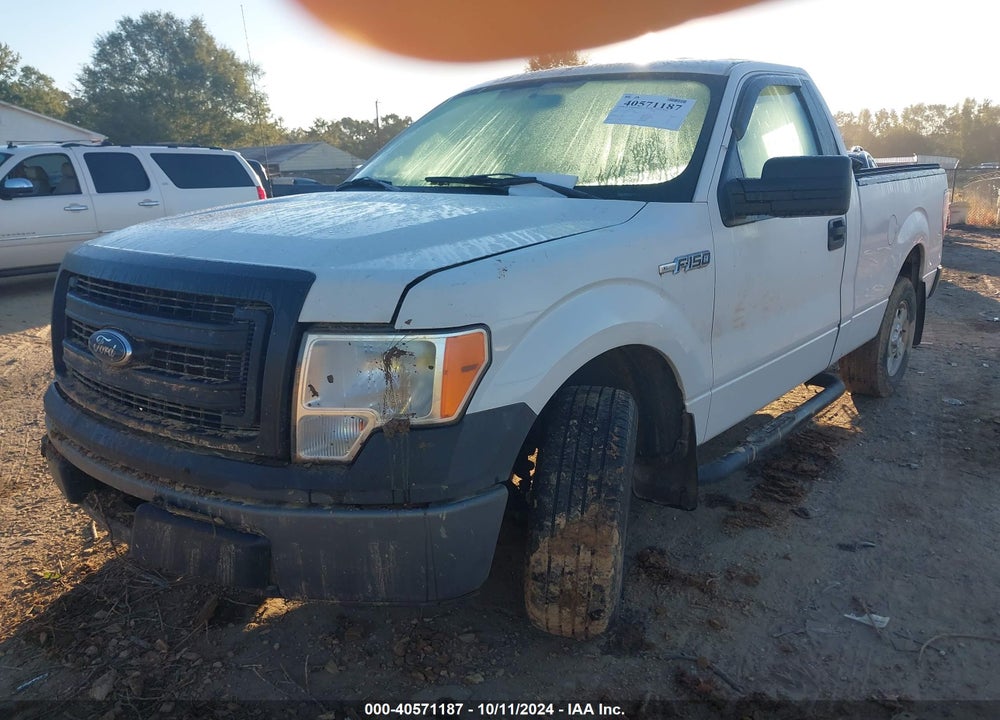 2013 FORD F-150 XL VIN: 1FTMF1CMXDFC31642