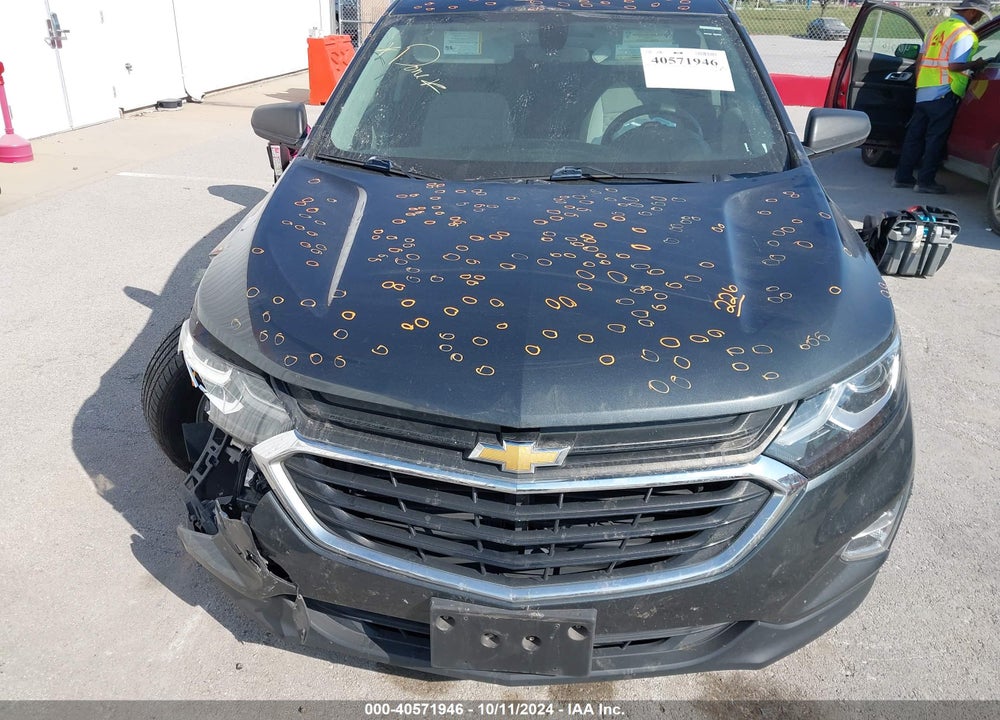 2019 CHEVROLET EQUINOX LS VIN: 2GNAXSEV9K6229777
