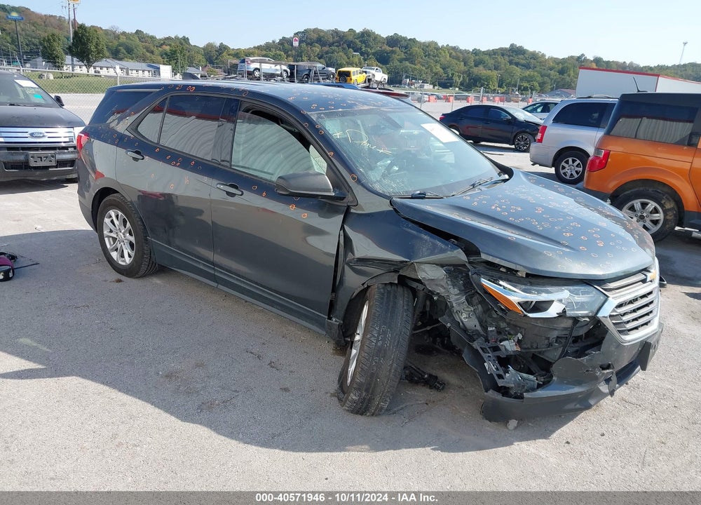 2019 CHEVROLET EQUINOX LS VIN: 2GNAXSEV9K6229777