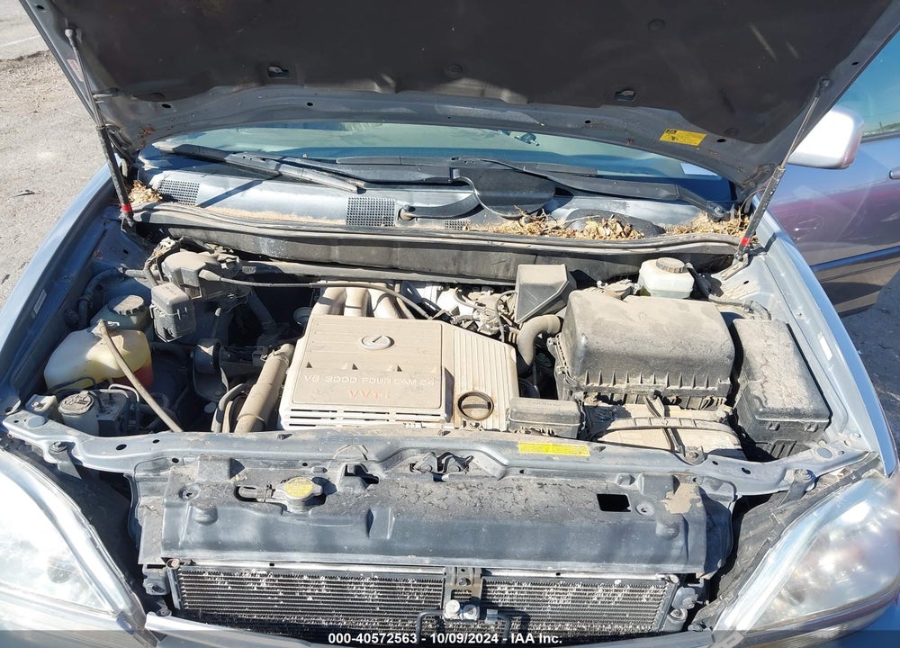 2003 LEXUS RX 300 VIN: JTJHF10U630300962