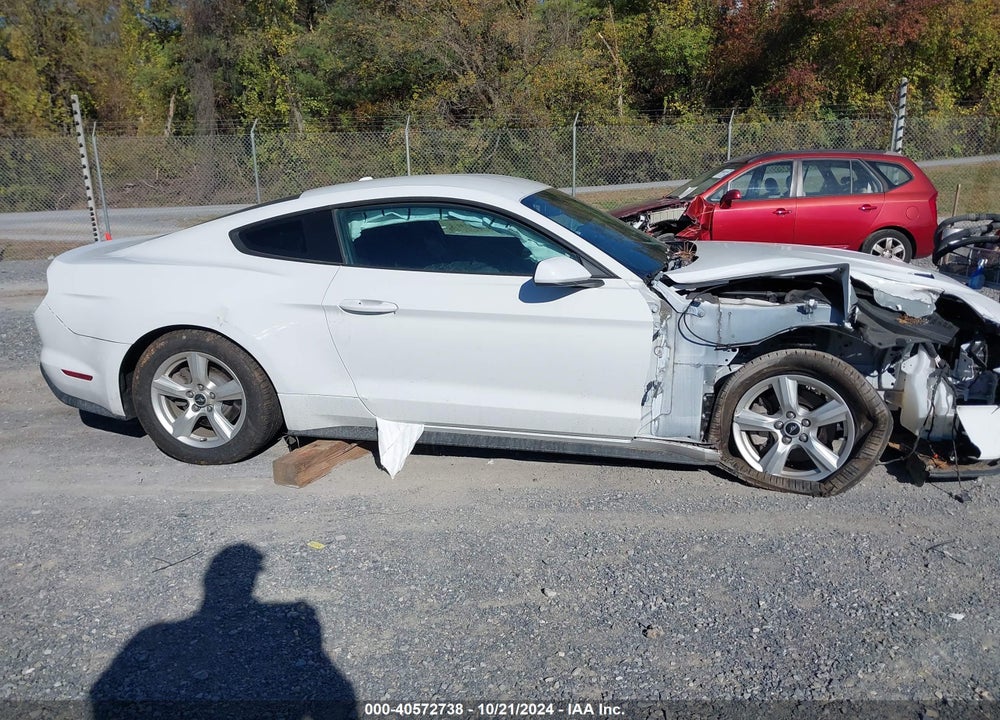 2019 FORD MUSTANG VIN: 1FA6P8TH1K5111514