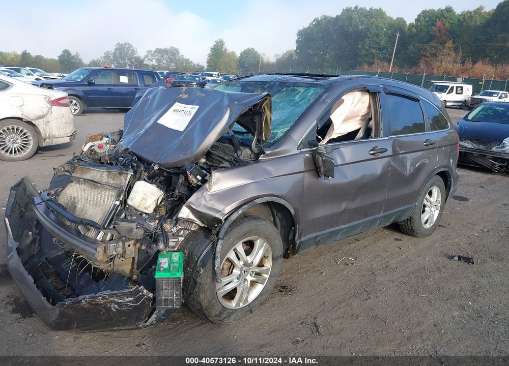 2010 HONDA CR-V EX VIN: 5J6RE4H57AL085252