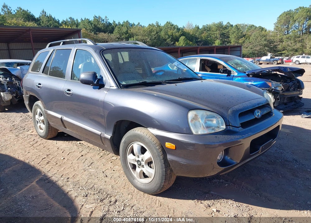 2005 HYUNDAI SANTA FE GLS/LX VIN: KM8SC13E55U877916