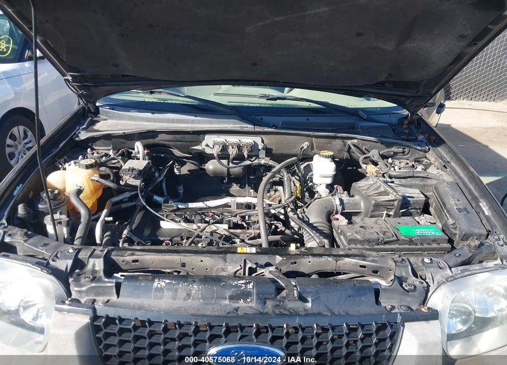 2007 FORD ESCAPE XLT VIN: 1FMYU03Z67KB08151