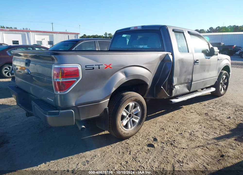 2013 FORD F-150 STX VIN: 1FTEX1CM3DFD91721