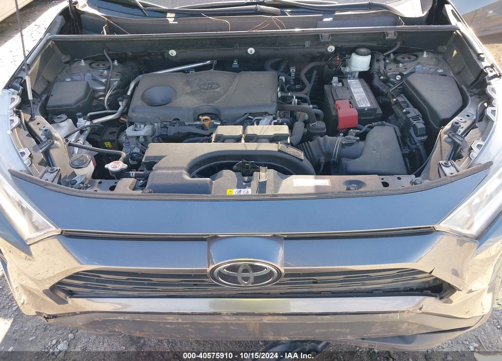 2019 TOYOTA RAV4 XLE VIN: 2T3W1RFV2KC005716